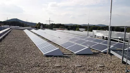 Fangstangen / Fangspitzen